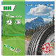  11r22.5 295/75r22.5 Vietnam Hot-Selling Steering TBR Tires/ Trailer Truck Tires Without Anti-Dumpling Tax