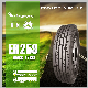  11.00r20 Trailer Truck Tyre/ Budget Tyres/ Top Quality TBR Tyre with Product Liability Insurance