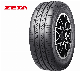  Passager Radial Car Tyre, All Steel PCR Tires