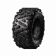  ATV Trailer 22X10-10 21X7-10 20X10-9 25X8-12 25X10-12 25*10-12 ATV Tire for Sale Using for Golf Car