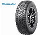  Toledo Wholesale Light Truck Tire 185/65r15