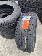  Joyroad/ Centara/ Sailun/ Linglong/Zextour China Top Brands High Quality PCR Tyres Supplier SUV, 4X4, Mt, at 165/60r13 175/65r13 185/65r14 195/70r14 205/70r15