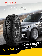 Three-a Brand at All-Road-Condition Tires Ecolander 245/70r16 manufacturer