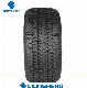  Vittos Brand Snow Radial PCR Tyres for Canada