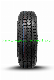  Winmax Tire White Wall Tires Winmax Tire 235/70r16 175/70r13