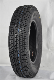  New Winter Tires for Cars 215 50 17 2254517 Lowest Price Timax Brand Factory Price on Sale in China Qingdao