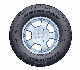  Centara Radial Car Tire Annaite / Hilo 195/65r15