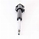 Shock Absorber Rear 9013202130 for Benz Sprinter manufacturer