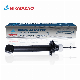 Supplier for Shock Absorbers Ash-12290 for Ford Expedition 2007-13 Rear with High Quality manufacturer