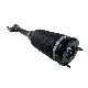  Popular OE 2213200438 Air Shock Absorber for Car Benz 221 L - High-Demand Product