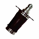 A7053L for A6 Audi Air Suspension Rear Air Spring manufacturer