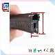  Top Bubble Rubber Sealing Strips for Automotive, Container Rear Door