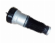  S-Class W220 2002-2006 Air Suspenson Spring Auto Parts