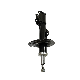  Car Spare Parts Damper OEM 48510-52030 Hydraulic Shock Absorber