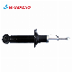  Shock Absorber for Nissan Sunny/Sentra/Almera 98/10 Auto Parts