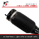 Auto Parts Air Shock Absorber for Benz W164