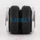 Suspension Part Supplier 2s70-13f Truck Rubber Air Balloon Spring