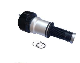 W221 Rear Air Bellow Spring 2213205513