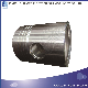  Engineering Machinery Diesel Engine Part Cylinder Piston 3017348 for Cummins Nt855
