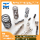  Factory Manufacture Customized Various Small Stainless Steel Heavy Duty Compression Springs