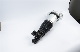  Rear Air Ride Suspension Shock for Audi Q7/Volkswagen Touareg/Prosche Cayenne