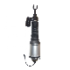  Nrt Factory Offer Front Air Suspension for Volkswagen Phaeton/Bentley 3D7616039 3D7616040