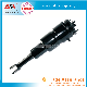 for Lexus Ls460 Ls460L Ls600h Ls600hl Front Air Suspension 4802050300 4801050300