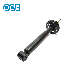 Suspension Parts Shock Absorbers for Chery A13-2915010 A112915010ba