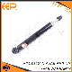  Car Part Shock Absorber for Buick Enkore 95276347