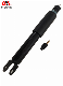 Front Air Suspension Struts for Cadillac Escalade Chevrolet Gmc 22187159
