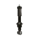 21111925 Factory Direct Supply Front Axle Shock Absorbers for Volvo Fh 16 1993- Fh 2005- manufacturer