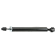 Shock Absorber Ds45-28-700 Rear Axle for Mazda manufacturer