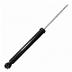  Mg Zs 2017- Shock Absorber Roewe Rx3 2018- 10242400