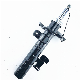 Auto Shock Absorber for Volvo C30/S 40c 334843