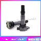  Baic High-Quality Auto Spare Part Auto Accessory for Changhe Q35 Weiwang S50 M60 M50f High Voltage Package Ignition Coil