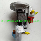 Qsm11 Injection Pump 3090942 3075340 3417674 3417677 manufacturer