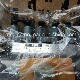  6bt5.9 Engine Zexel Injection Pump 6738-71-1520 4063844