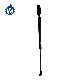  Trunk Shock for Toyota Corolla Spacio 68950-0W070