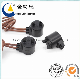  China Factory Price Normally Open Proximity Sensor Magnetic Reed Switch Sensor