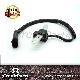  OEM# PC41, 4713427, 56026882, 56026921, 56027031, 56029621 Crankshaft Position Sensor for Jeep/Dodge/Chrysler