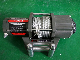 High Performance 12V 4000lb Winch for ATV Adverture Recovery manufacturer