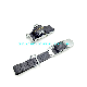  45mm 50mm Galvanized Adjustable Curtainside Bottom Strap Assembly Over Center Buckle Strap with Flat Closed Rave Hook