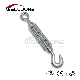  China Galv DIN1480 Turnbuckle with Eye/Hook/Stud/Plane End