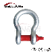  G209 stainless Steel Hot DIP Galvanized Ce Us Forged Bow Type Shackle