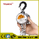  CE Certification 500 Kg Manual Operated Aluminum Manual Chain Hoist Crane
