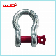  Quenched and Tempered Us Type Drop Forged Bow Shackle with Alloy Pin G209