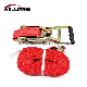 Ergonomic 2inch 50mm 5t 5000kg Ergo Ratchet Tie Down Cargo Lashing Strap with Double J Hook manufacturer