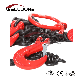  Lifting and Lashing Chain Sling with Master Link and Clevis Hook Pear Link