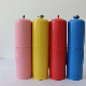  Factory Supply Empty Cyrogen Spray Canisters with DOT-39
