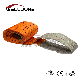  10t Polyester Fibre for Lifting Flat Webbing Sling